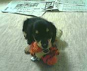 f0098841_10103263.jpg