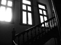 b0091248_2364668.jpg