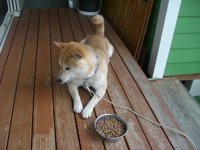 f0099148_13511069.jpg