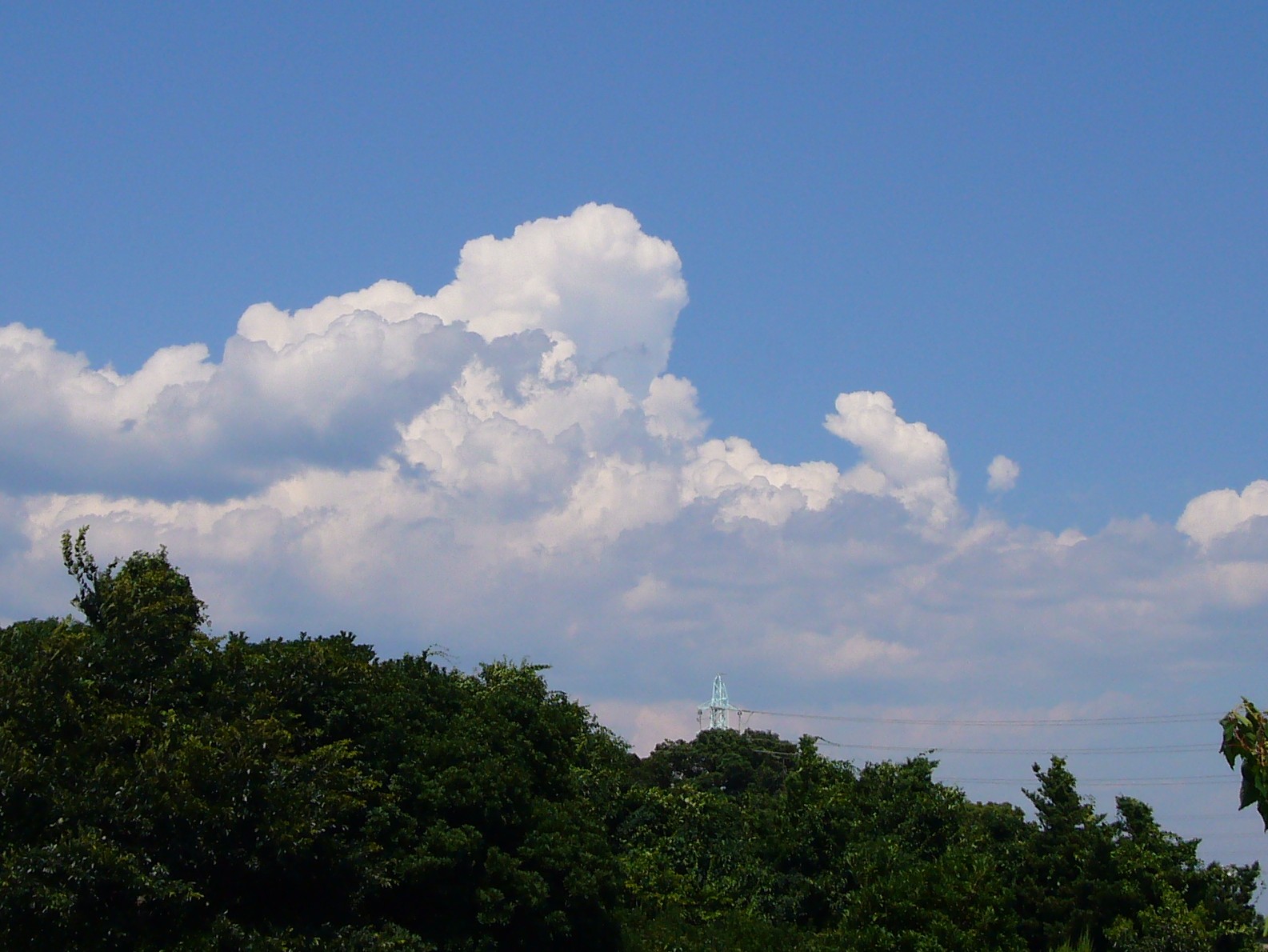 f0091250_2154718.jpg