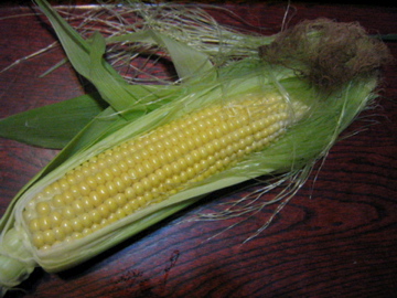 f0089352_23424624.jpg