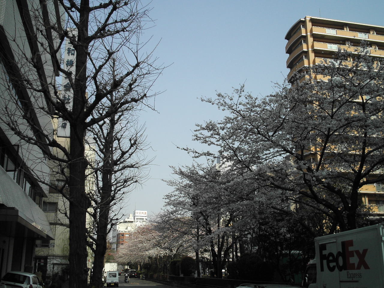 a0049167_0325979.jpg
