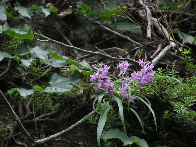c0042869_21134686.jpg