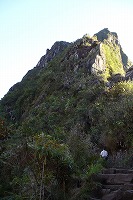 f0059671_1105930.jpg