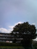 a0000273_10413779.jpg