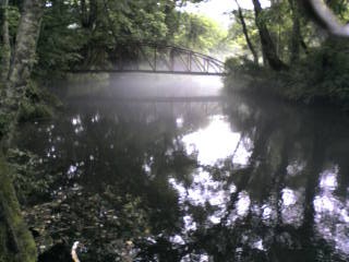 c0080180_645499.jpg