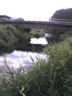 c0080180_6455853.jpg