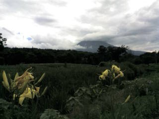 c0080180_6462521.jpg