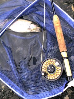 c0080180_6464851.jpg