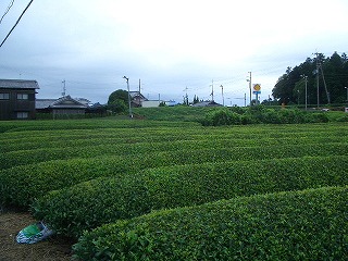 f0011490_1085315.jpg