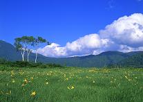 f0015391_072065.jpg