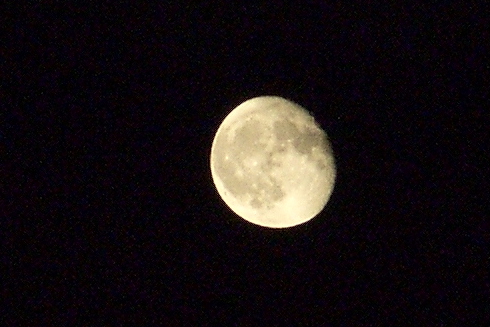 e0008800_015876.jpg