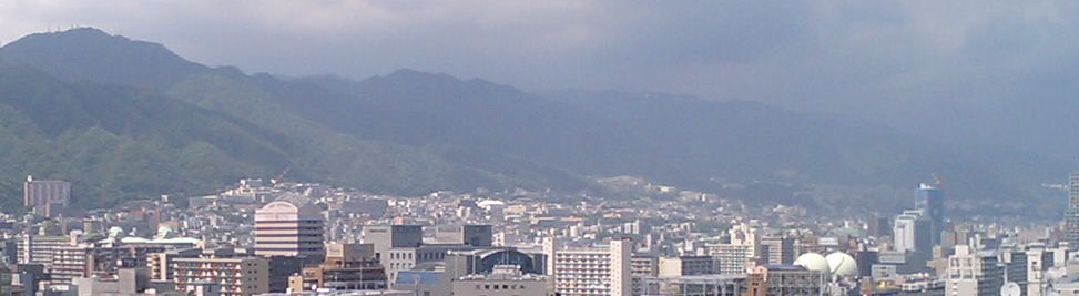 f0092302_2059497.jpg