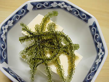 d0035104_23442666.jpg