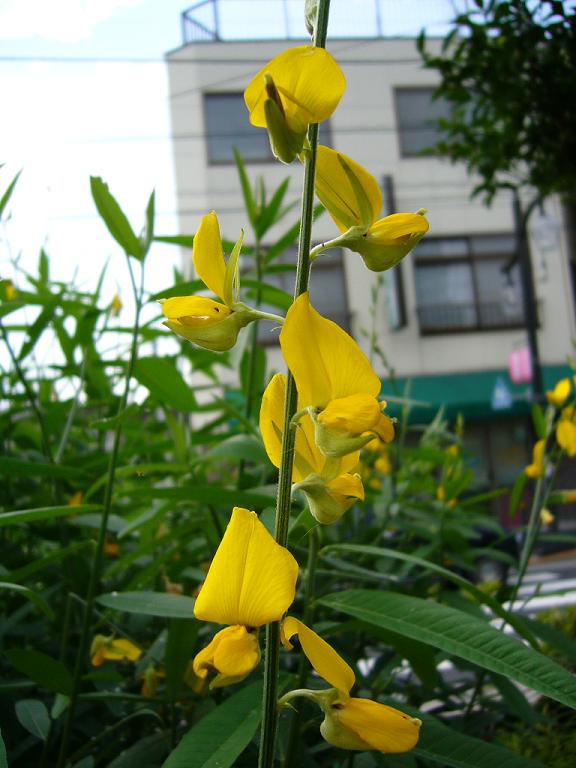 c0054212_22401750.jpg