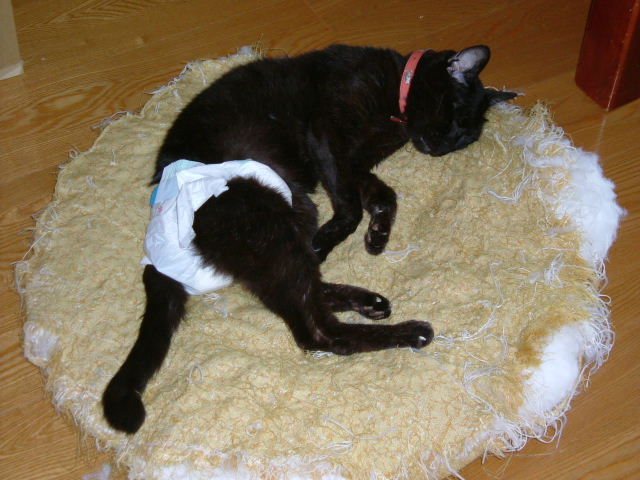 c0056014_14154040.jpg