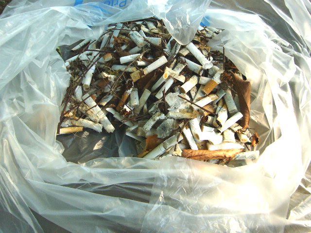 f0100920_1004322.jpg