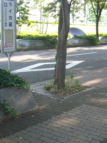f0100920_9552166.jpg