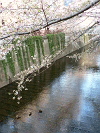 a0083627_20391750.jpg