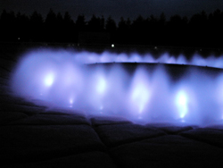 b0035734_21134584.jpg