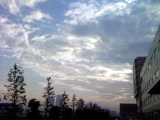 a0058135_1073348.jpg