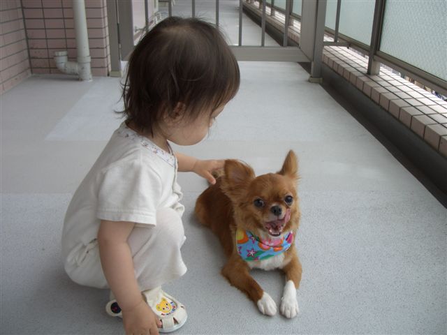 c0076141_13165997.jpg
