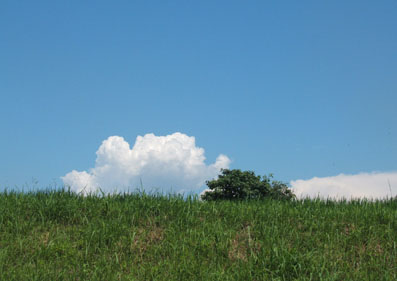 d0025545_242675.jpg