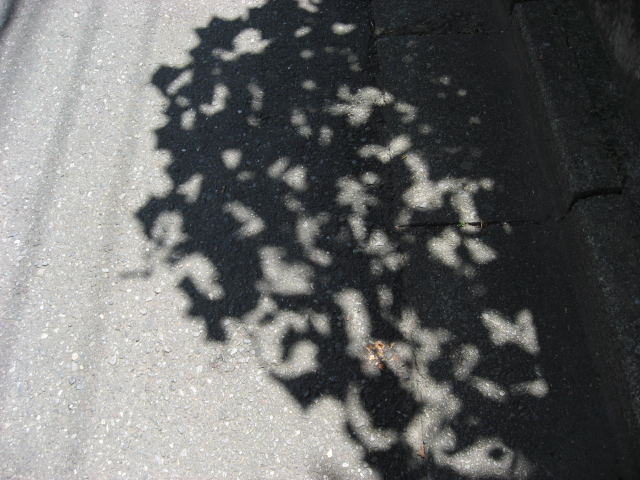 b0097747_7544237.jpg