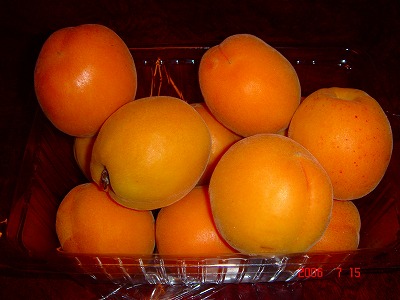 e0037055_2256112.jpg