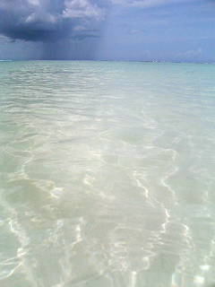e0089761_285085.jpg