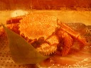 c0022767_0592360.jpg