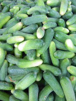 f0032969_67020.jpg