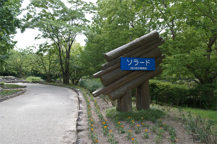 e0002371_1029344.jpg