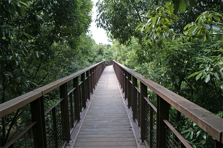 e0002371_1043522.jpg