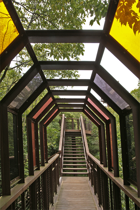 e0002371_10583817.jpg