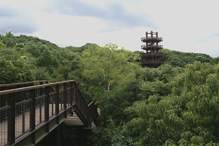 e0002371_10594912.jpg