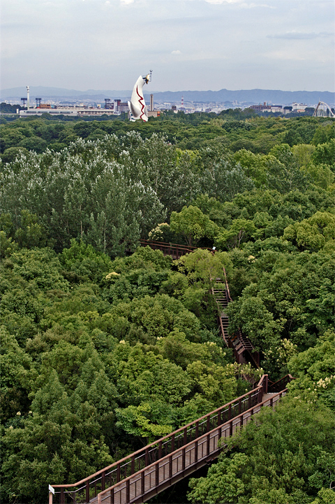 e0002371_11482168.jpg