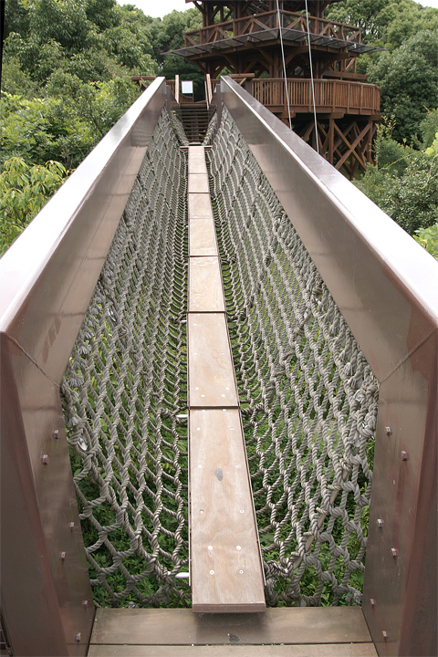 e0002371_115185.jpg
