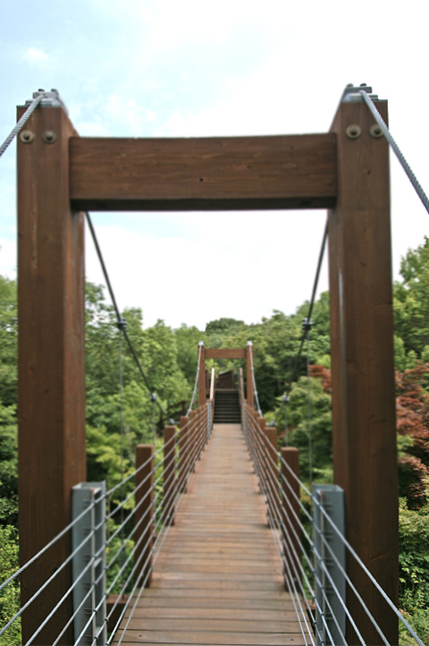 e0002371_12242061.jpg