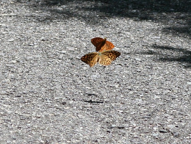 b0088772_1382531.jpg