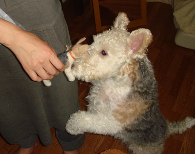 b0091373_0464810.jpg