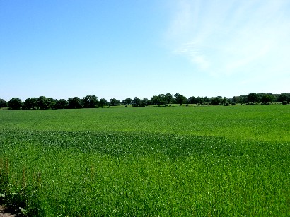 a0066586_6482572.jpg