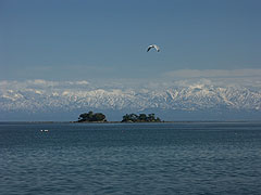 f0030289_17452810.jpg