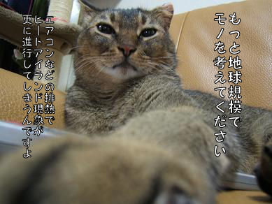 a0045990_162525.jpg