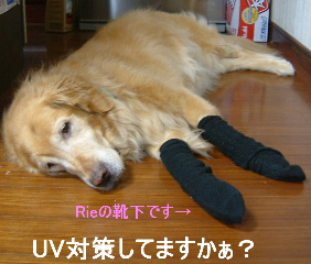 a0042295_2113561.jpg
