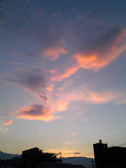 c0017802_1040571.jpg