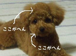 a0007906_10123558.jpg