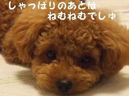 a0007906_1071815.jpg