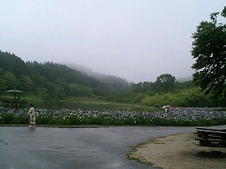 a0080007_22481115.jpg
