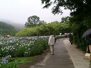 a0080007_22502831.jpg